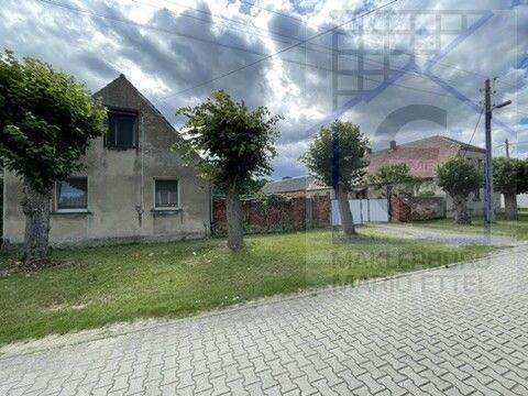 Haus 2 Ansicht Straße - 