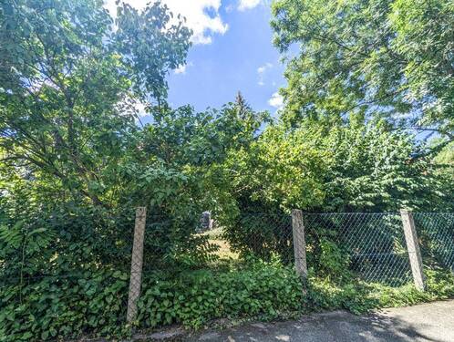 Grünanlage gegenüber vom Haus - 