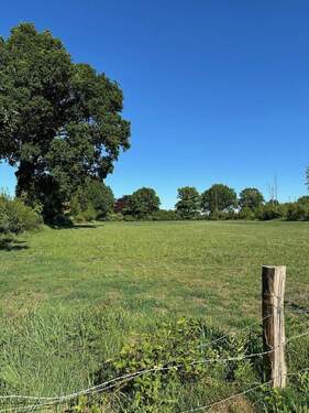 Bild 4 - Mehrfamilienhaus, Wohnhaus mit 300,00 m² in Oersdorf zum Kaufen
