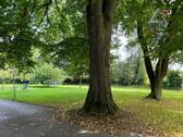 parkähnlicher Garten - 