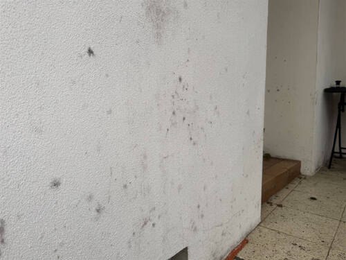Bild15 - 