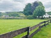 Wiese - 
