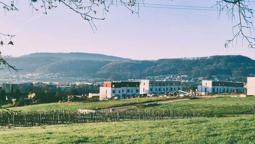 Aussicht auf das Baugebiet - 5 Zimmer Reihenendhaus zur Miete in Bad Säckingen
