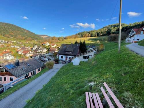 Zufahrt zum Wohnhaus - 5 Zimmer Einfamilienhaus zum Kaufen in Seebach