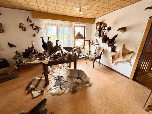 Zimmer (OG) - 