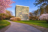 Parkanlage gepflegt - 