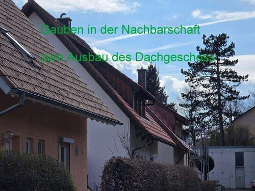 Mögliche Gauben.jpg - 