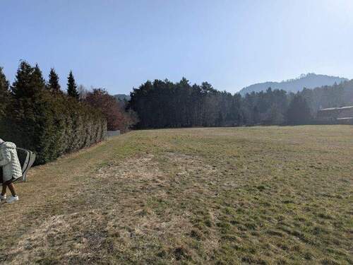 Blick - Grundstück in Gohrisch zum Kaufen