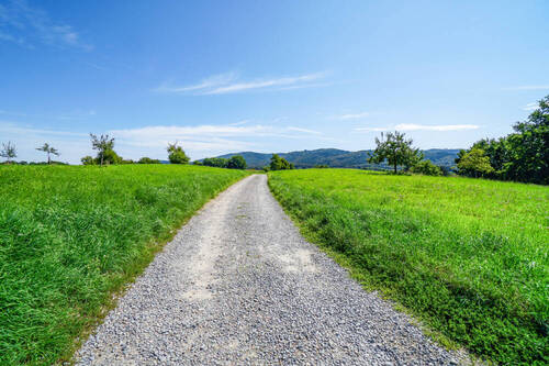 Wiesenrandlage - 