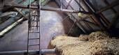 Alte Scheune, Ausbaureserve - 