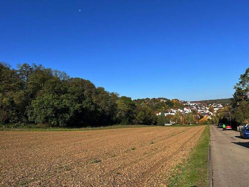 Angrenzende Natur - 'Wohnen in herrlicher Randlage mit Blick in die Natur' Attraktives und sonniges EFH in Weissach