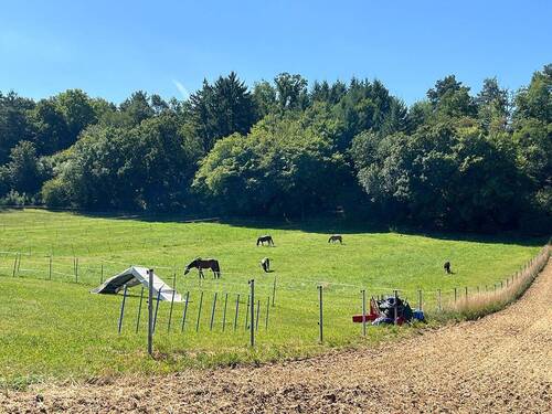Wohnen an der Natur - Einfamilienhaus mit 164,00 m² in Weissach zum Kaufen