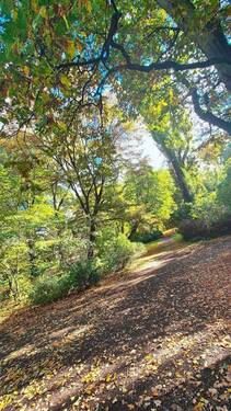 Fast Vis-à-Vis Park - 