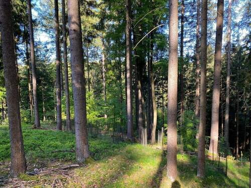1w7BNU6w.jpeg - Grundstück zum Kaufen in Flossenbürg