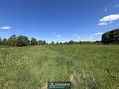 Feld - 