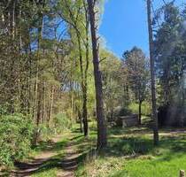 Freizeitgrundstück in idyllischer Lage - Trittau
