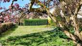 Garten - Märchenhaftes Paradies in familienfreundlicher Umgebung...
