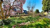 Garten - 5 Zimmer Einfamilienhaus zum Kaufen in Gottmadingen