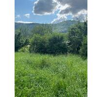 Wunderschöner Bauplatz in naturnaher, sonniger und ruhiger Lage von Bissingen -Tec - Bissingen an der Teck