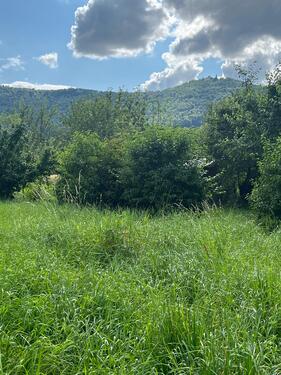 gleich in der Natur.jpg - Grundstück zum Kaufen in Bissingen an der Teck