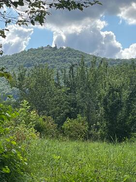 wunderschön im Grünen.jpg - 
