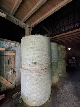 20260319_163557.jpg - 