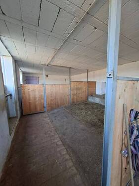 20260319_163853.jpg - 