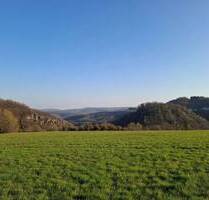 Leben in Harmonie mit der Natur und den Pferden: Saniertes Bauernhaus mit Pferdebereich, ca. 6,2 ha Eigenland und 3,3 ha möglichen Pachtflächen - Kirn