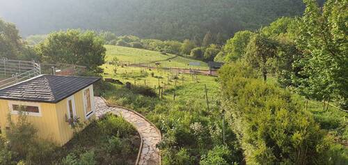 photo_2025-05-24_14-22-39 (2).jpg - 