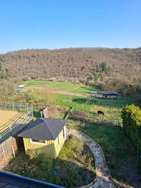 20260319_161718.jpg - 