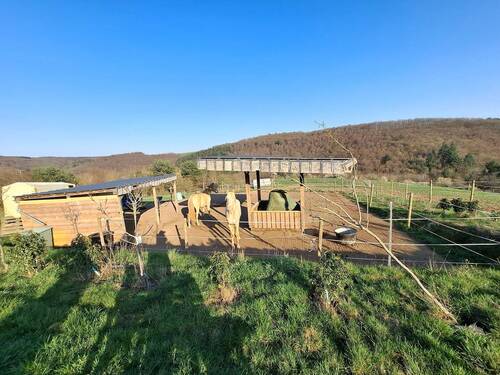 20260319_164334.jpg - 