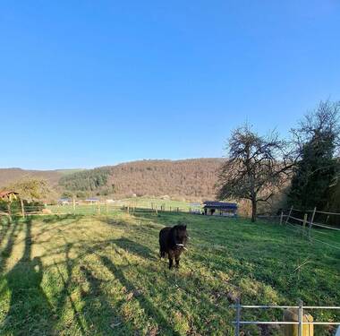 20260319_163407.jpg - 