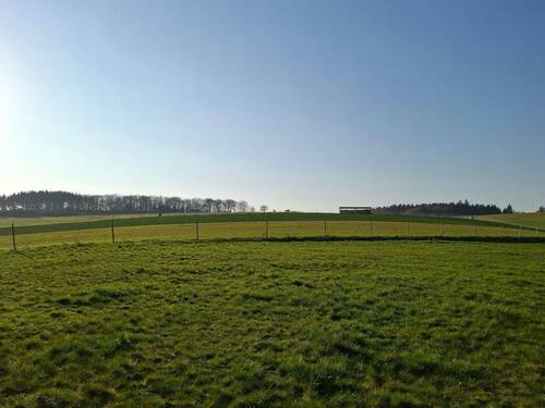 20260319_165511.jpg - 