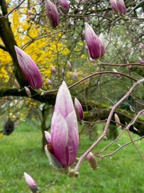 .. die Natur genießen ! - 