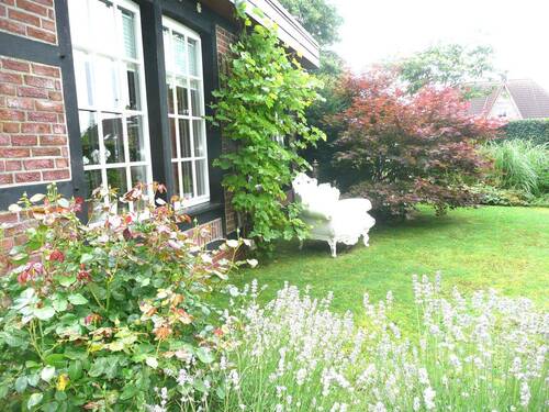 im Traumgarten ! - 