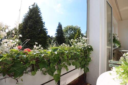 Balkon - 