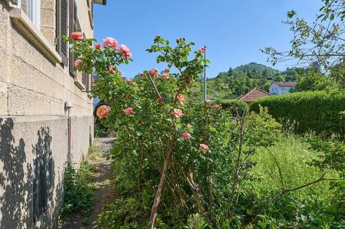 Garten - 