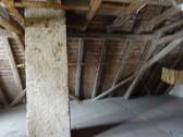 DSC00247.JPG - 