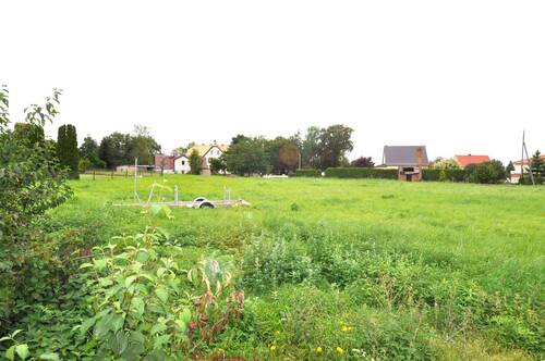 Ansicht Grundstück gesamt_bearbeitet-1.jpg - Grundstück inmitten der Seenlandschaft Hainer See V1