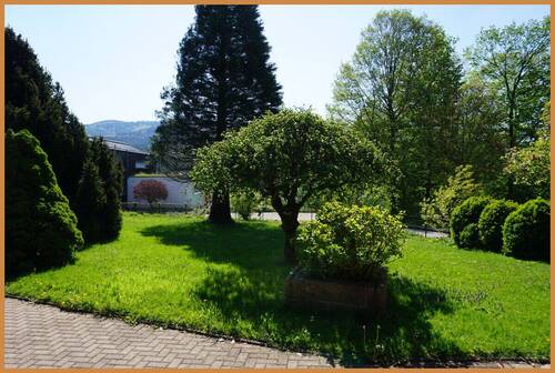 Blick in den Garten - 