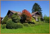Ansicht - 