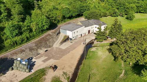 3.JPG - Mehrfamilienhaus, Wohnhaus mit 250,00 m² in Saarburg zum Kaufen