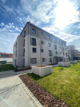 Hausansicht - 4 Zimmer Etagenwohnung zur Miete in Lörrach