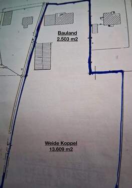 Hasloh Bauland und Koppel:Weide:Wiese.jpg - Grundstück in Hasloh