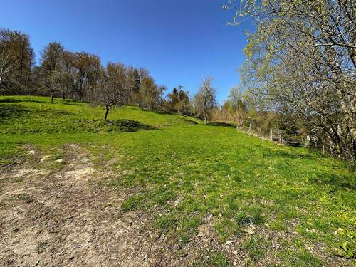 Landwirtschaftsflaeche1 - 