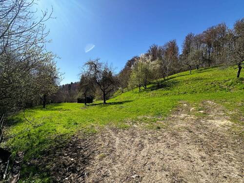 Landwirtschaftsflaeche2 - 