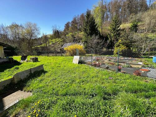Garten-mit-Nutzgarten - 
