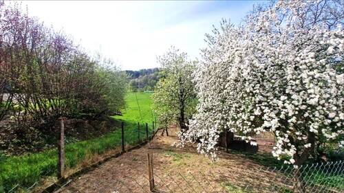 Aussicht Feldrand - 