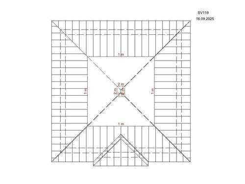 SV 119 Draufsicht.jpg - 