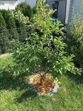 Impression des Gartens - 